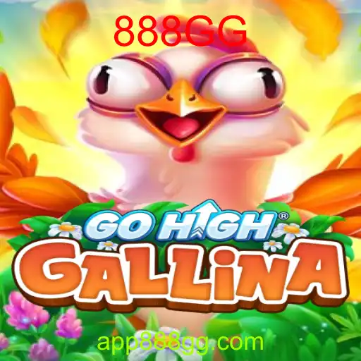 GoHighGallina